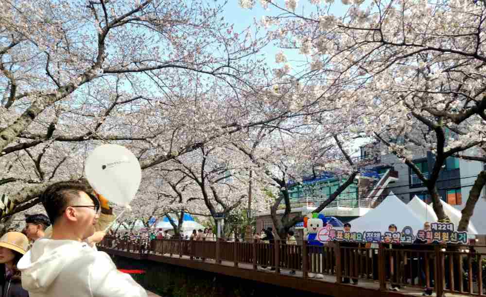 그림입니다.

원본 그림의 이름: 2.jpg

원본 그림의 크기: 가로 1169pixel, 세로 716pixel

사진 찍은 날짜: 2024년 04월 01일 오후 5:09

프로그램 이름 : Windows Photo Editor 10.0.10011.16384

색 대표 : sRGB