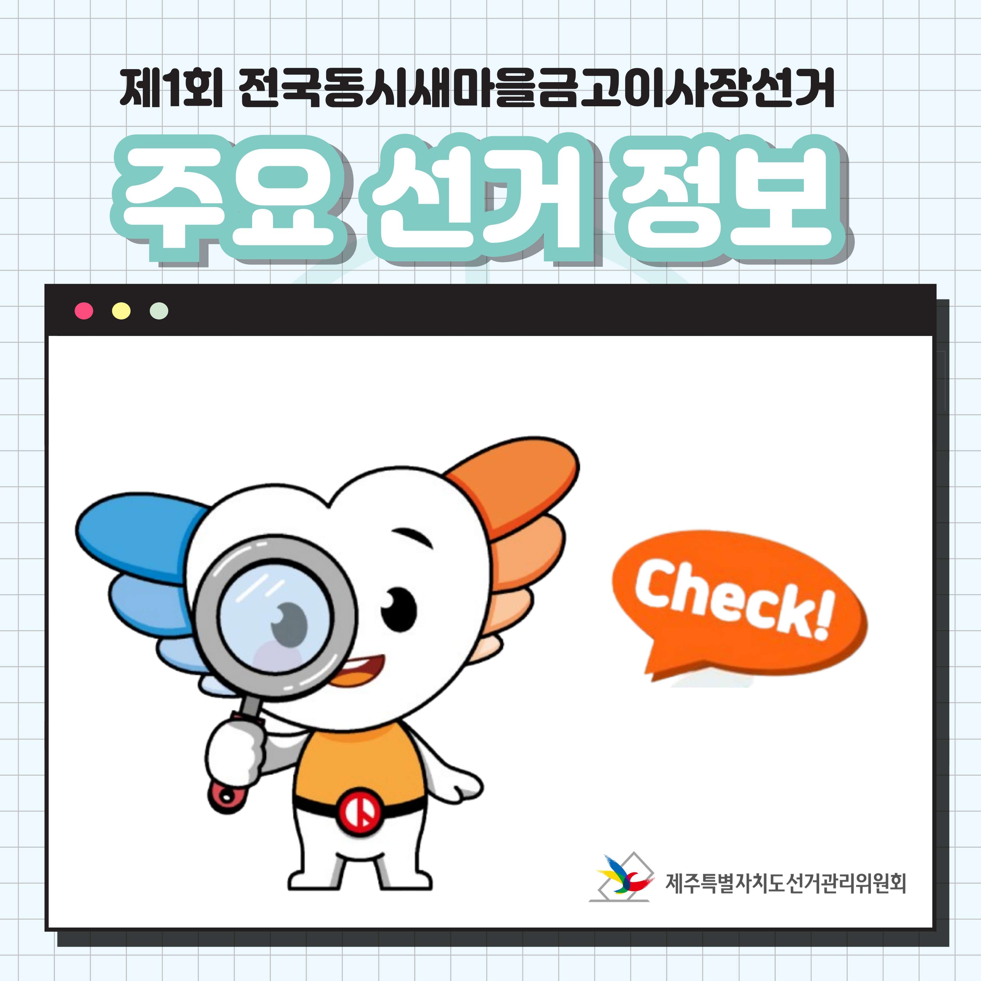 주요선거정보