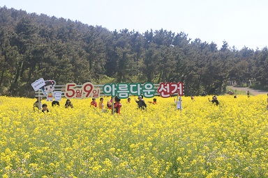 제19대 대통령선거 홍보를 도내 관광지와 지역 축제를 이용한 캠페인 1